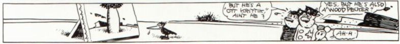 picture from the comic Krazy Kat